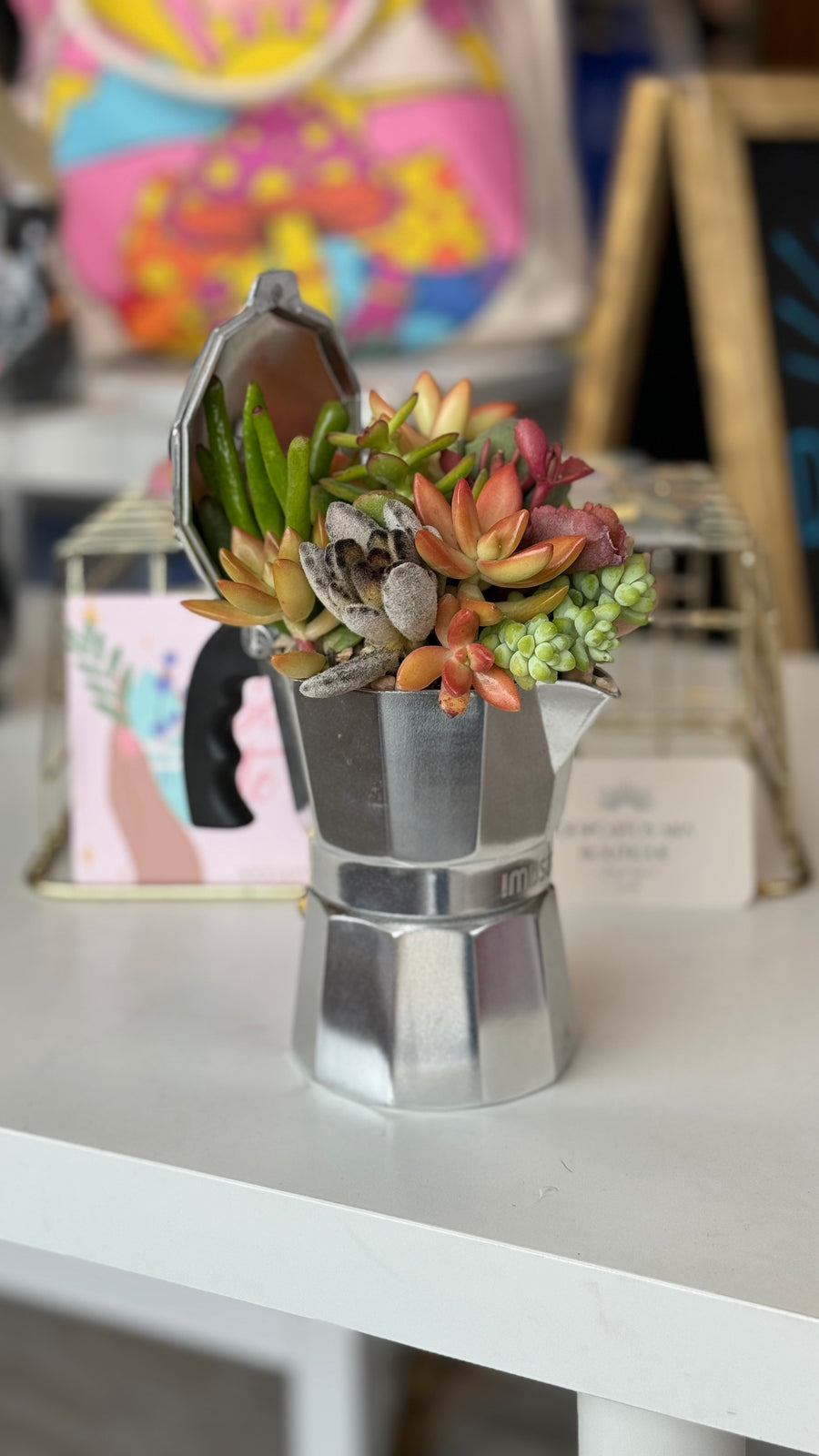 Cafeteras & Succulents – A Planting Workshop with La Succulenta