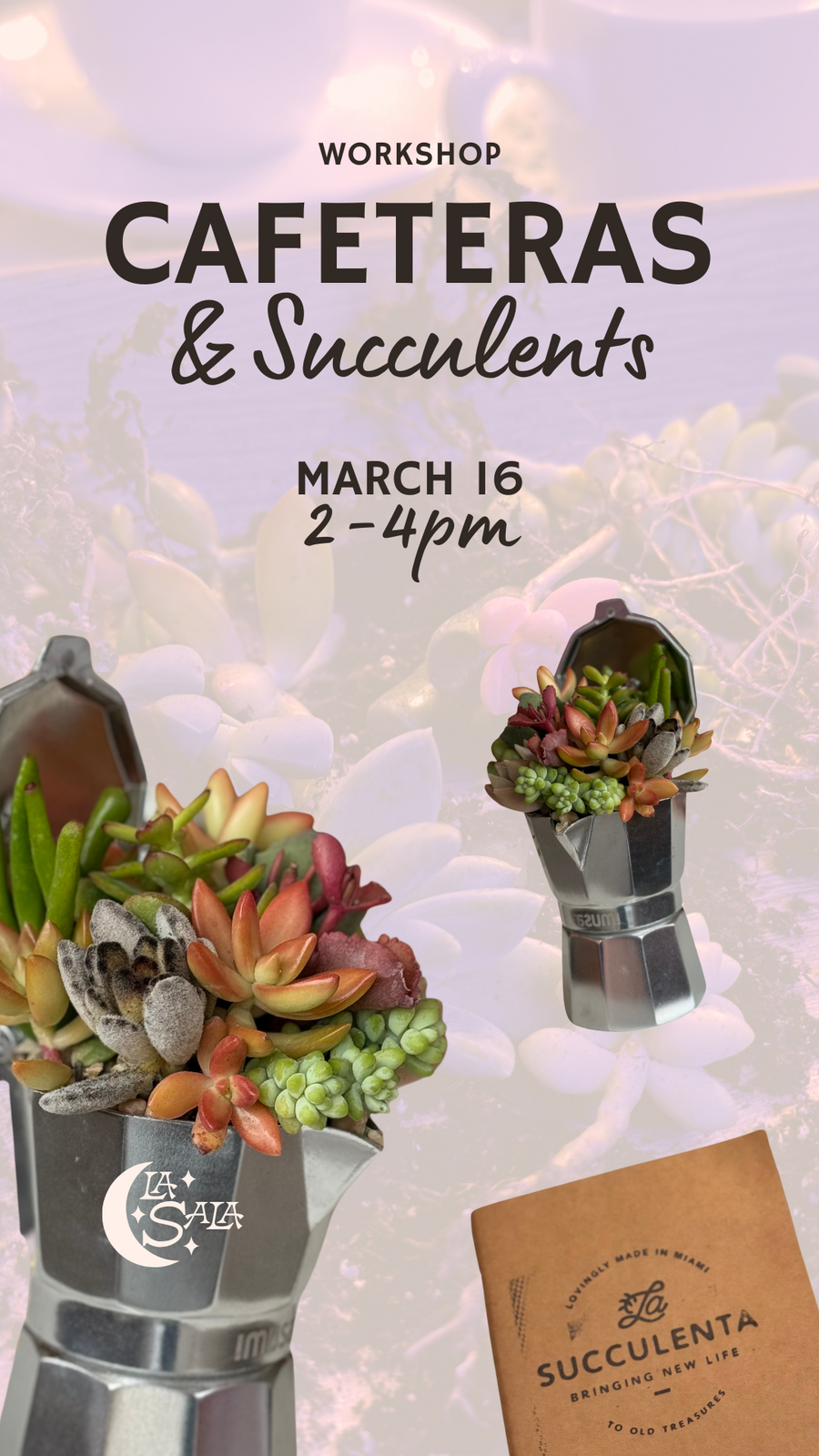 Cafeteras & Succulents – A Planting Workshop with La Succulenta